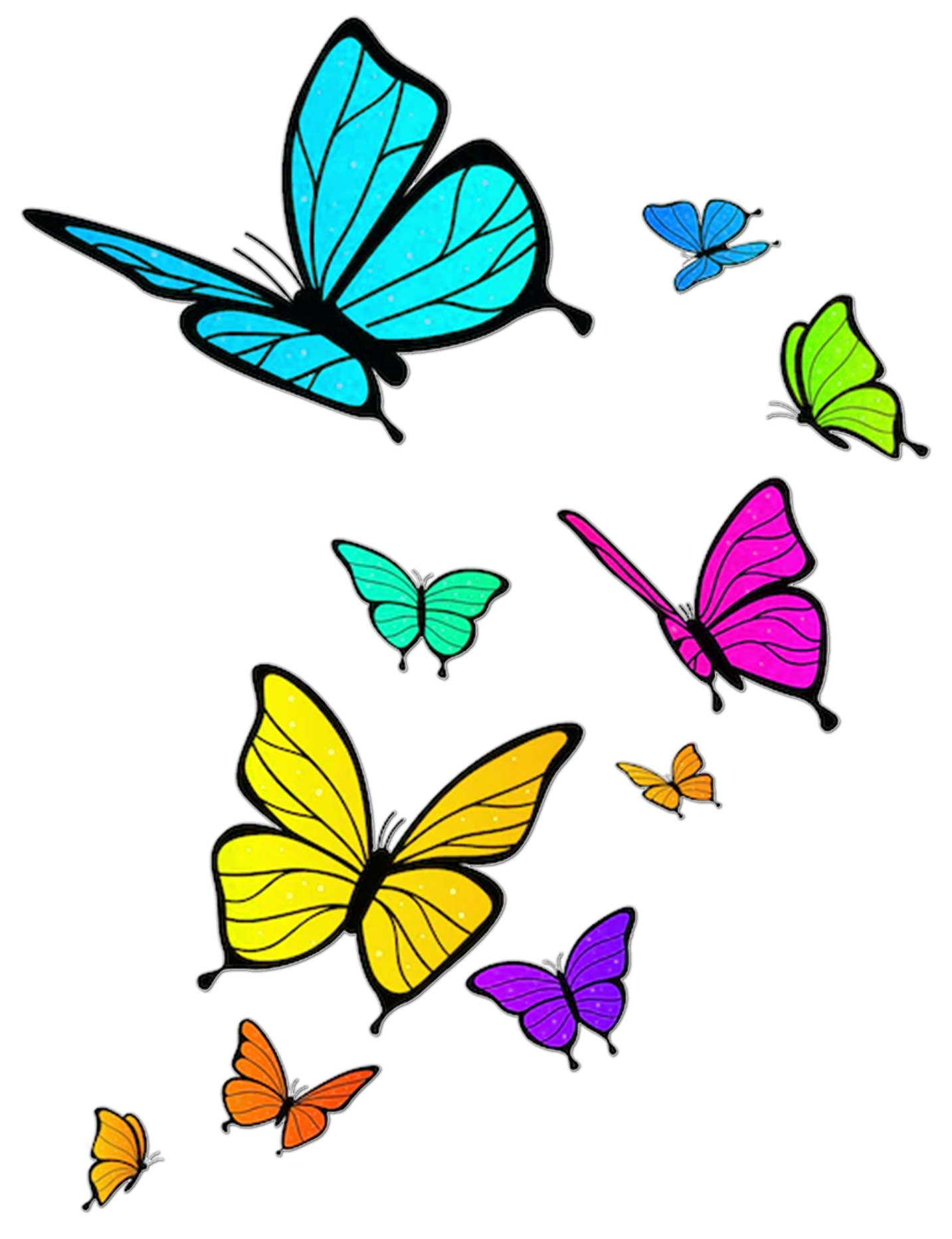 papillons couleurs