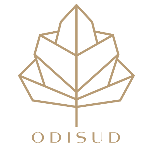 Logo Odisud, bijoux floraux