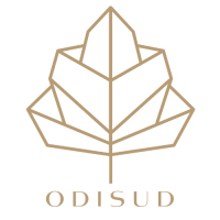 Logo Odisud