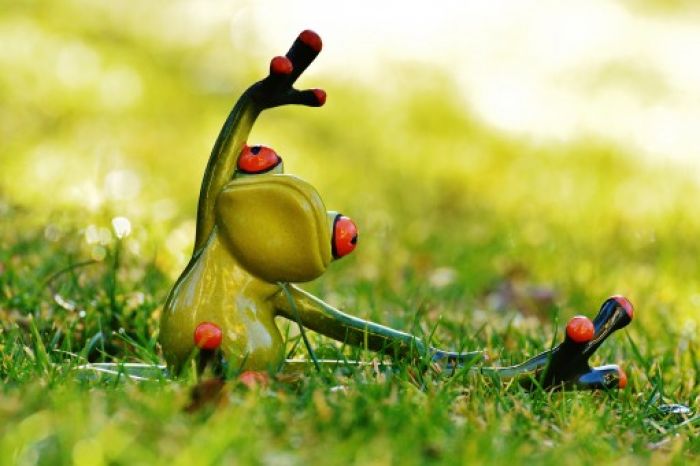 image de grenouille yoga